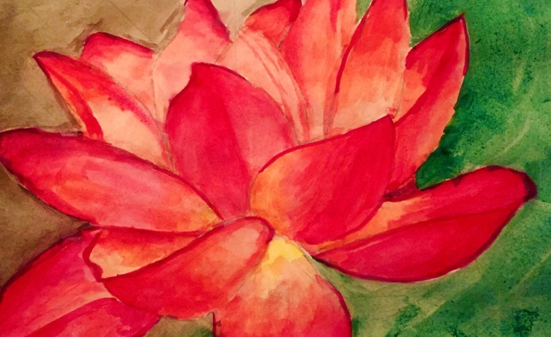 Blog Header Image