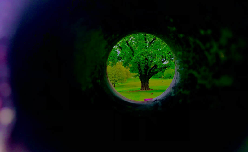 Blog Header Image