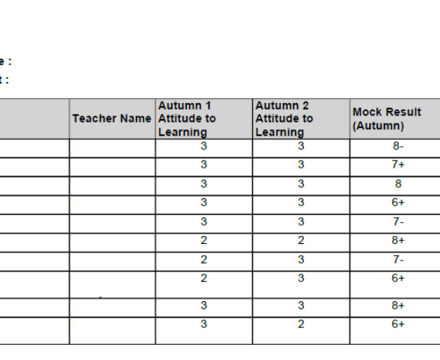 KS4 Tracking Report (Example)