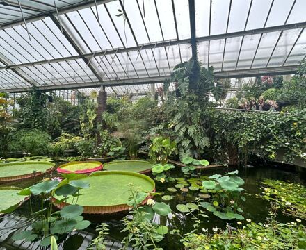 IMG 20250912 WA0004(1)